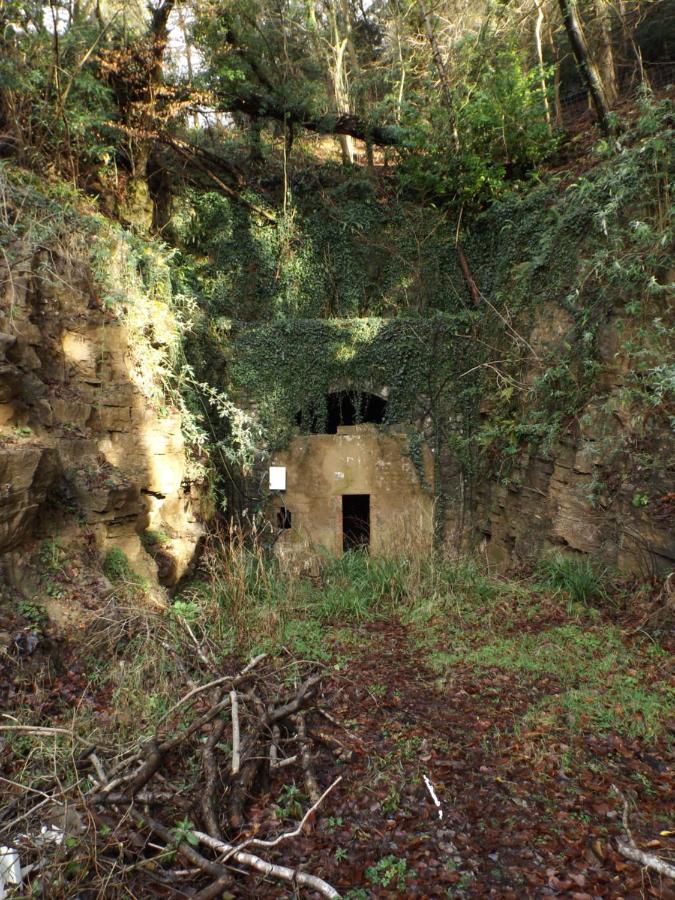 Wye Rapids House Symonds Yat Exterior foto